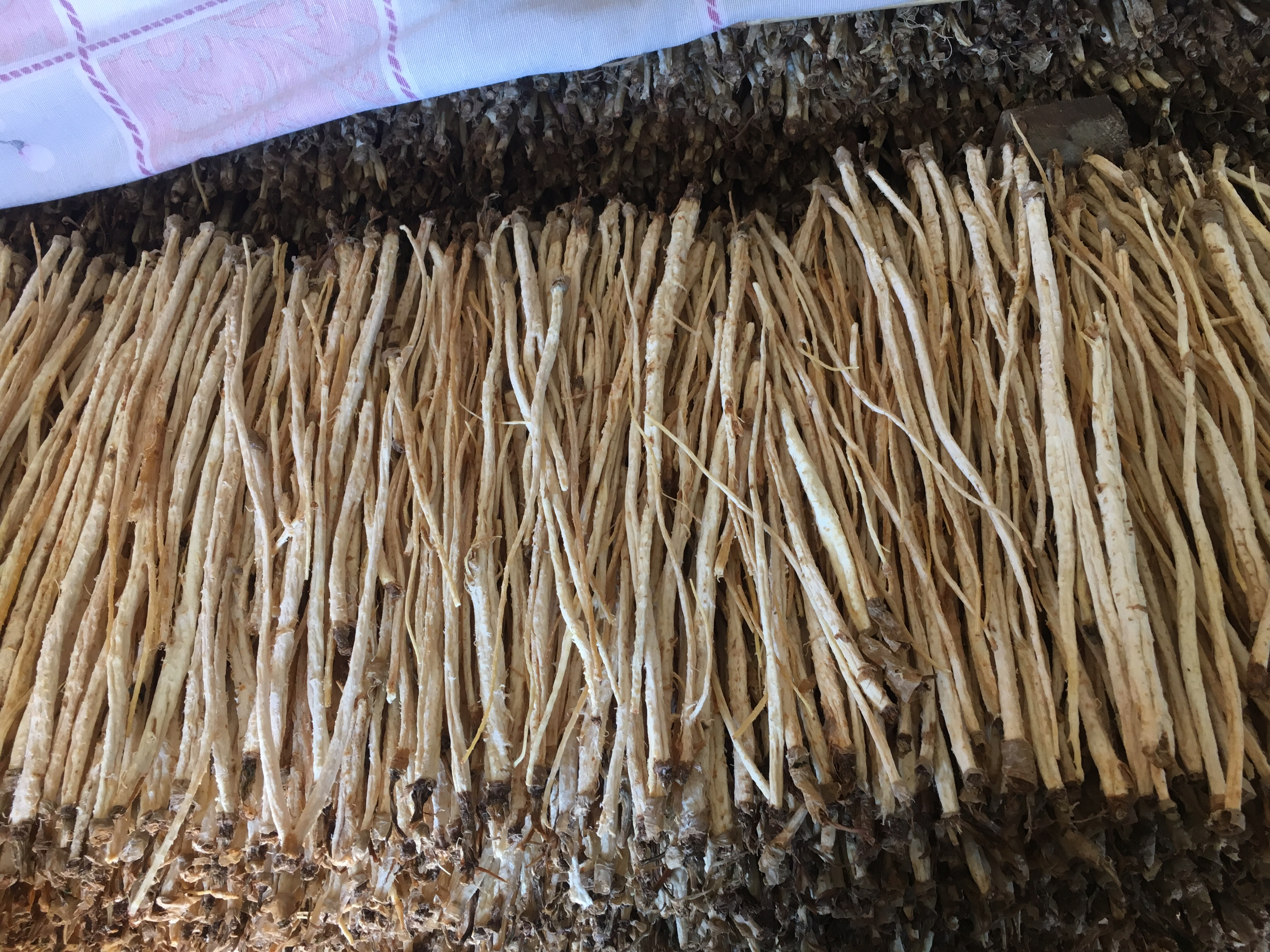 干燥的北沙参根条,呈细长圆柱形,表面黄白色或淡黄棕色,有纵皱纹,质地坚脆,断面黄白色,粉性明显,带有淡淡的香气,背景为传统中药柜或晾晒场景 北沙参原药材特写