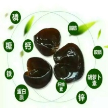 黑木耳一级