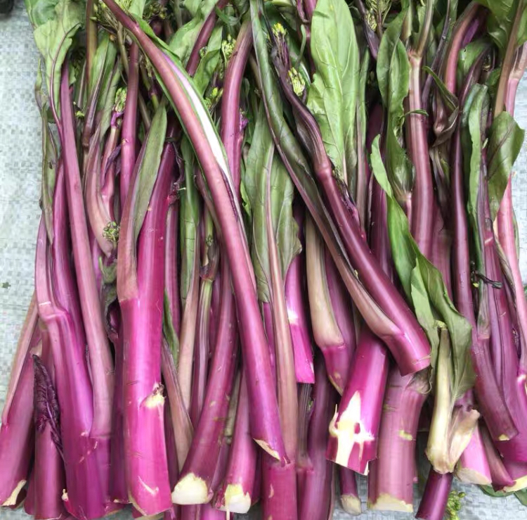 红菜苔营养成分柱状分析图