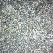 百年大树茶一级