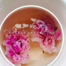 玫瑰花茶