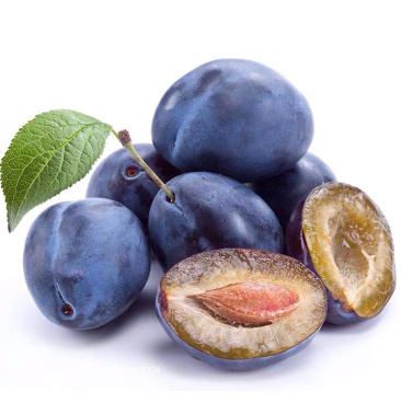 新品种法兰西西梅苗西梅女神蓝蜜各种西梅苗品种齐全保证品质