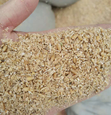 优质各种碎小麦下脚料适合鸡鸭鹅猪牛羊饲料添加量大优惠
