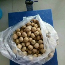 薄皮核桃去皮干