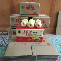 礼泉酥梨200~250g纸袋