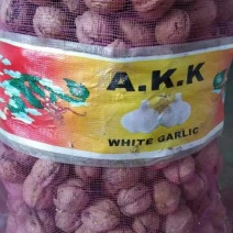 薄皮核桃去皮干
