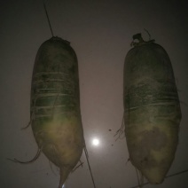 水果萝卜1~1.5斤起