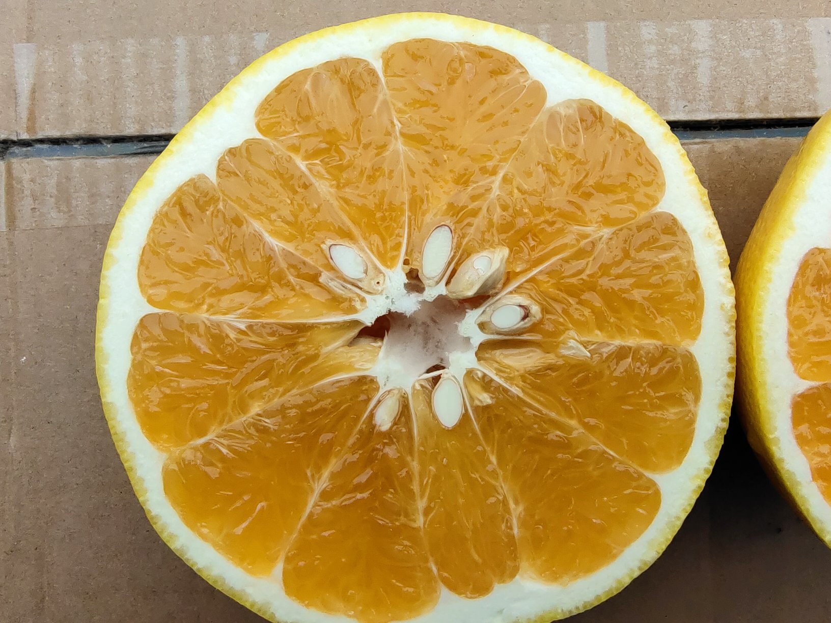 葡萄柚切面对比照片