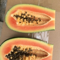 水果木瓜