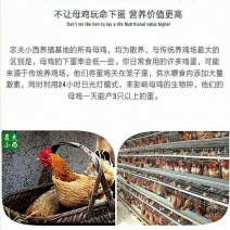 土鸡蛋食用60~75g