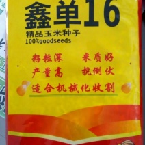 玉米种子97%