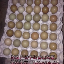 野鸡蛋