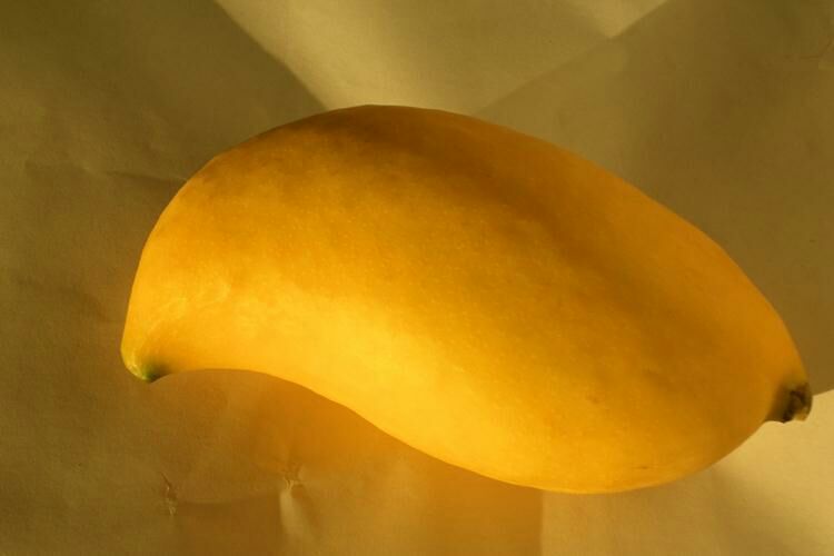 一颗成熟的鹰嘴芒果,果实呈金黄色,尾部尖锐如鹰嘴,表皮光滑有光泽,切开后露出橙黄色的果肉和薄片状果核,背景为热带果园环境 鹰嘴芒果特写