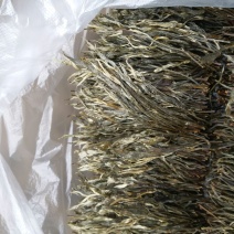 普洱茶散茶