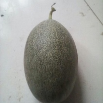 西州蜜瓜2斤以上长圆形