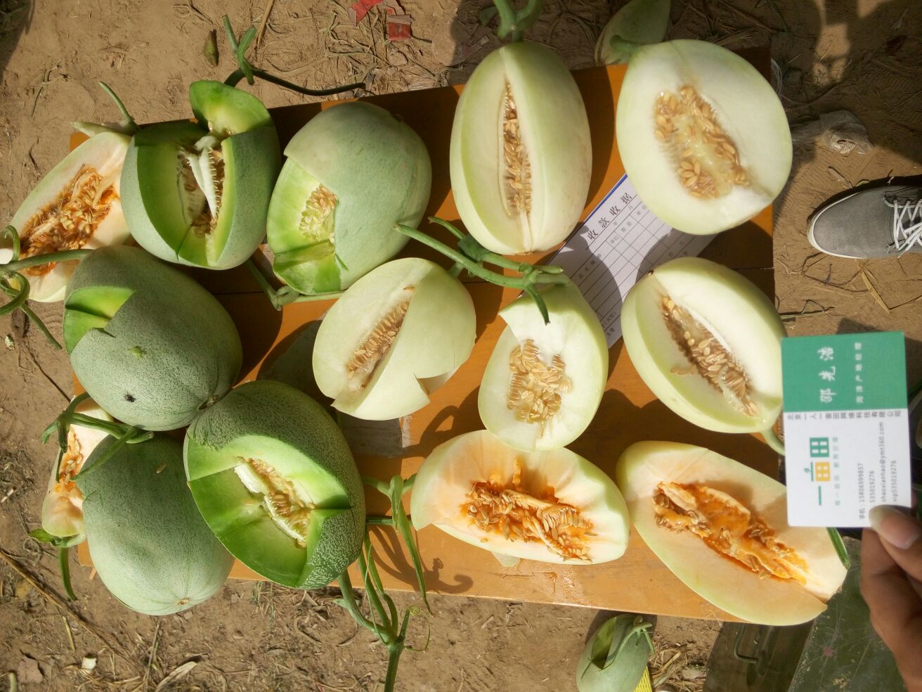 农产品供应大厅_农产品批发商-一亩田农业网_专业的农产品信息商务