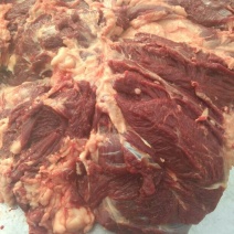 马肉鲜货