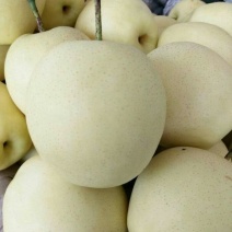 皇冠梨300~350g纸箱