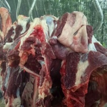 驴肉鲜货