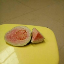 西瓜番石榴苗红心西瓜番石榴，白心的珍珠