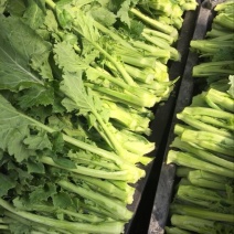 油菜苔