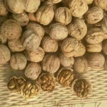 薄皮核桃30mm以上去皮干