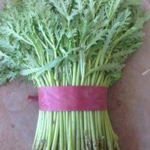 蒿子杆20~25cm