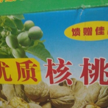 新疆核桃30mm以上去皮干