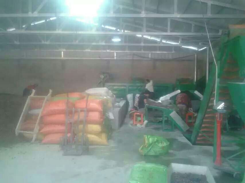 河北省迁西县某现代化板栗加工厂内部场景,工人正在流水线上对开口板栗进行人工复检与自动称重包装,传送带旁堆放着印有‘迁西板栗’地理标志的纸箱,设备清洁有序,体现规范化生产流程 迁西板栗加工车间实景图