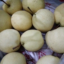 贵妃梨100~150g纸箱