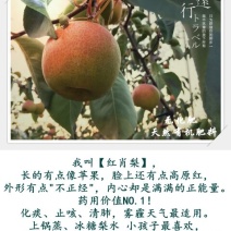 红硝梨150~200g纸箱