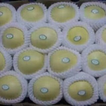 皇冠梨500~550g纸箱