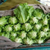 生菜3两~4两