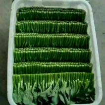 蔬菜