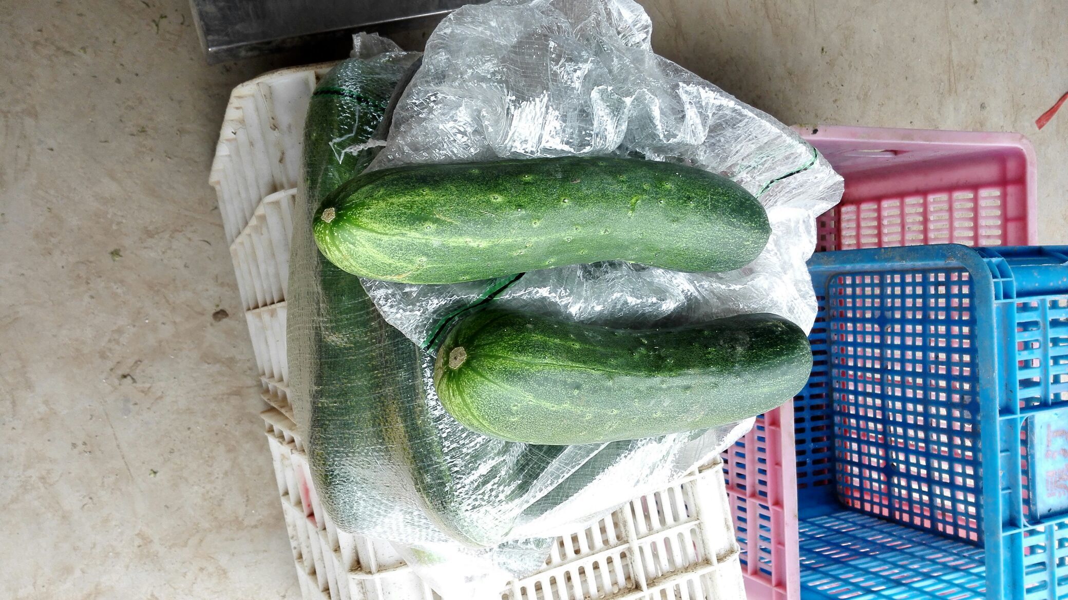 纸巾包裹黄瓜并置于阴凉通风处