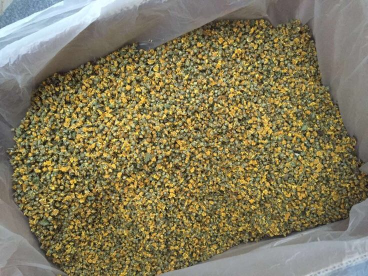 决明子和野菊花泡水的材料展示