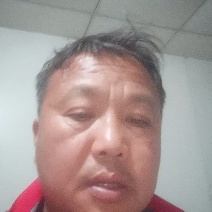 惠州湖镇草皮直销基地品质保证价格合理供应全国