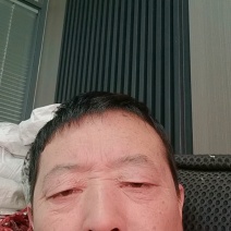 保鲜真空包装鲜粽叶量大全国发货常年有货供