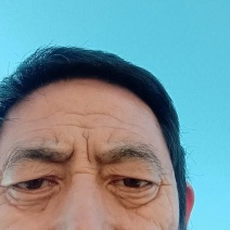 【克伦生葡萄苗】河北葡萄苗现挖保活支持技术各种规格