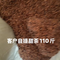 苹果种子甜茶种子，一手货源