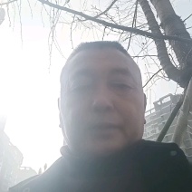 精品大五星枇杷苗，包挂果，包技术，假一赔十，放心购买。