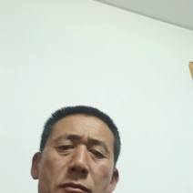 大量供应优质甘蓝牛心甘蓝品质保证