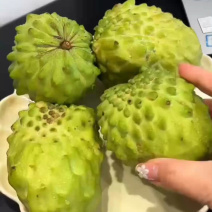 香甜软糯牛奶凤梨释迦果，现摘现发超甜！