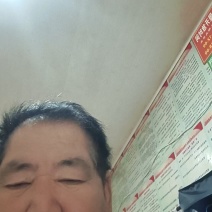 青桑葚干大量供应品质保证欢迎来电洽谈诚信经营