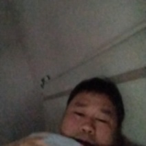茶叶