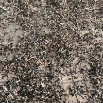木耳丝干货螺蛳粉专用电商专用山东产地直供