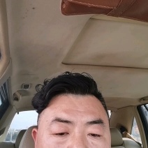 红柳苗