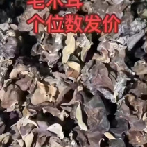 毛木耳新到货，泡发率高，50斤/件