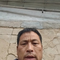 精品甘蓝，基地直发，品质保证，量大从优欢迎来电咨询