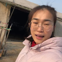 彩椒